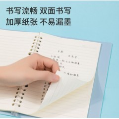 得力(deli) A5/60张活页笔记本替芯 20孔横线格式替芯活页纸